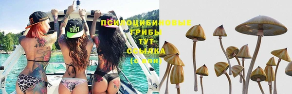 ALPHA PVP Ессентукская