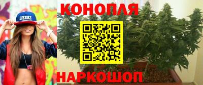 молекула духа Бийск