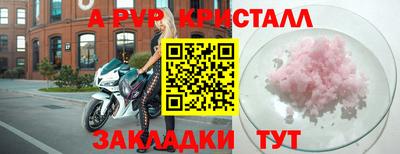 шишки Берёзовский