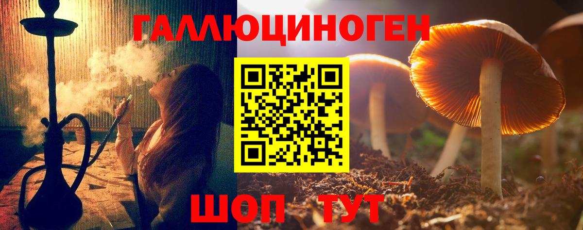 Псилоцибиновые грибы Psilocybine cubensis  сколько стоит  Вход с VPN  Аксай  Галлюциногенные грибы Psilocybe 